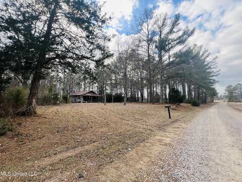 1842 Crawford Circle, Lena, MS 39094