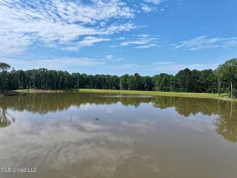 Springwood Trail, Flora, MS 39071