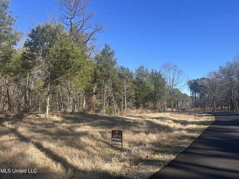 Spirngwood Trail, Flora, MS 39071