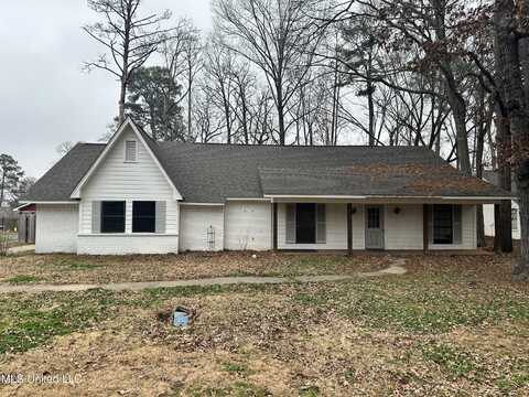 802 Audubon Point Drive, Brandon, MS 39047