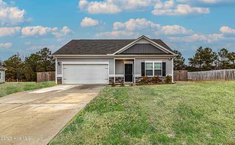 312 Settlers Pointe Drive, Pikeville, NC 27863