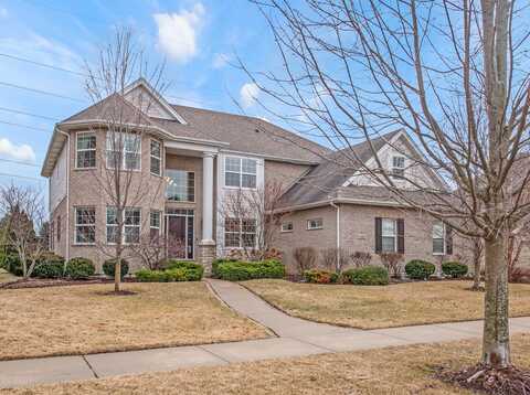 12801 Dunmoor Drive, Lemont, IL 60439