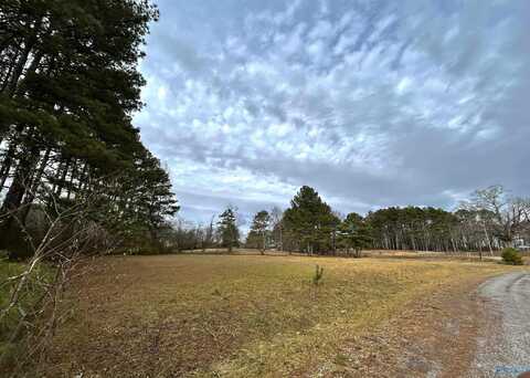 Lot 7 Woodland Road, Boaz, AL 35956