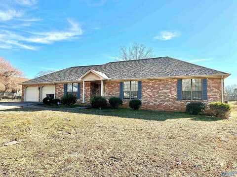 161 Lamoray Drive, Rogersville, AL 35652