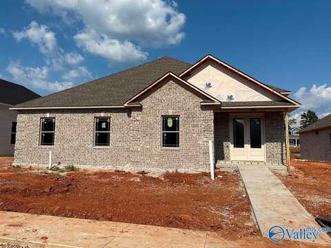 65 Lot Narayan Street, Madison, AL 35756