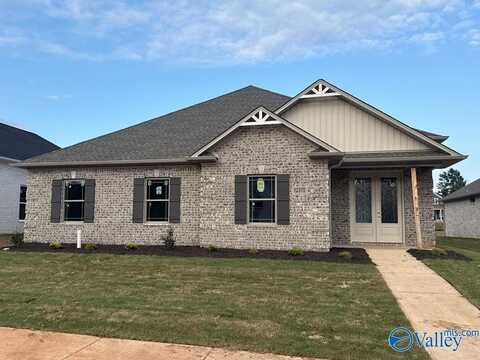 65 Lot Narayan Street, Madison, AL 35756