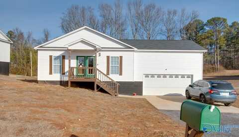 48 Seibold Street, Guntersville, AL 35976