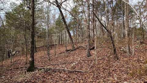 Lot 37 KINGSWAY CIRCLE, Bull Shoals, AR 72619