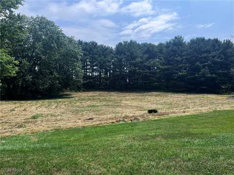 Foxglove Avenue NW, Lehigh Twp, OH 44216