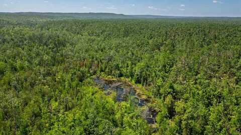 1133 W Thumb Lake, Vanderbilt, MI 49795