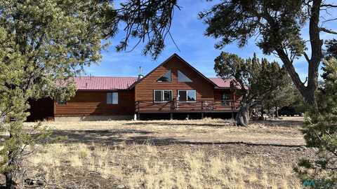 47 Pinewood Circle Road, Pie Town, NM 87827