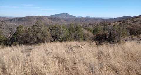 209 High Meadow Trail, Fort Davis, TX 79734