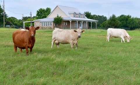 101 Monticello Drive, Springtown, TX 76082