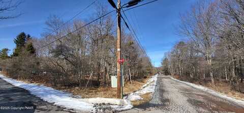Minisink & Chippewa Trail, Albrightsville, PA 18210