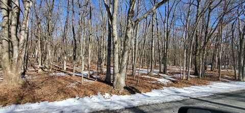 Mohawk Trail, Albrightsville, PA 18210