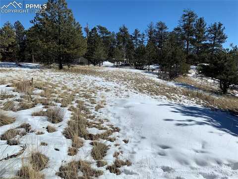 2627 Pikes Peak Drive, Florissant, CO 80816