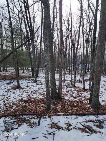 Lot 897 Pico Lane, Tafton, PA 18464