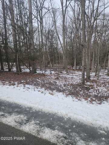 Lot 717 Paper Birch N, Tafton, PA 18464