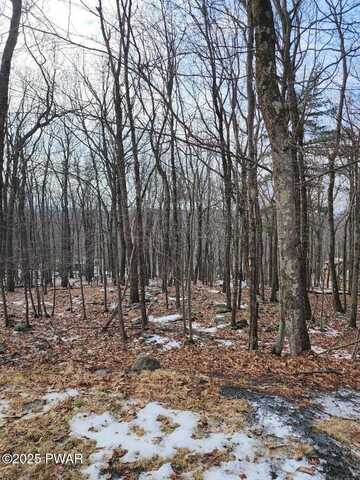 Lot 895 Pico Lane, Tafton, PA 18464