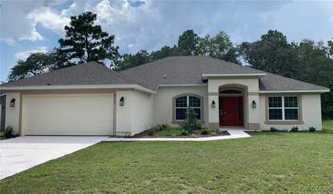 8732 N Trojan Drive, Citrus Springs, FL 34453