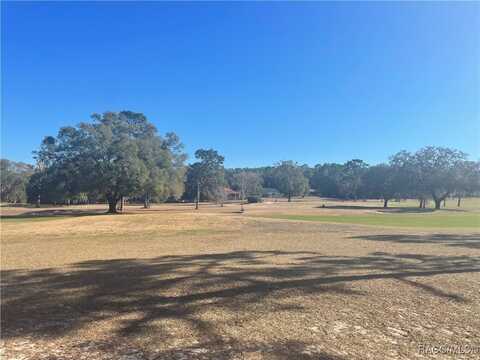 2892 W Gardenia Drive, Citrus Springs, FL 34434