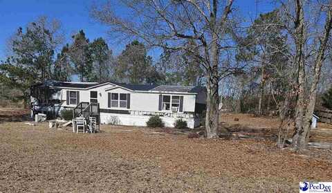 2001 Doe Trail, Dillon, SC 29536