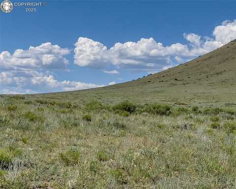 Tbd County Road 255, Westcliffe, CO 81252