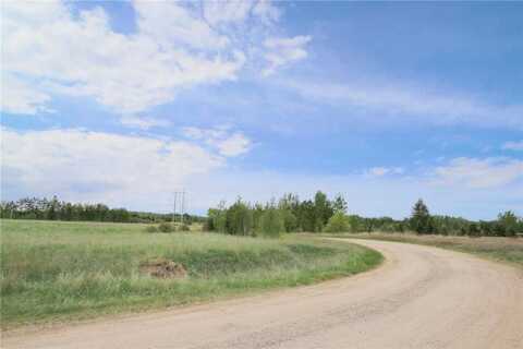Tbd Brook Lane SW, Pillager, MN 56473