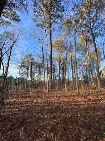 lot 11 BARNES CIR, PARKSLEY, VA 23421