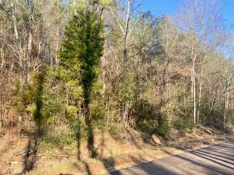 0 Sauls Road and James Ratcliff Road, Tylertown, MS 39667