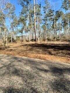 0 Sauls Road and James Ratcliff Road, Tylertown, MS 39667