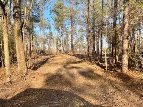 0 Sauls and James Ratcliff Road, Tylertown, MS 39667