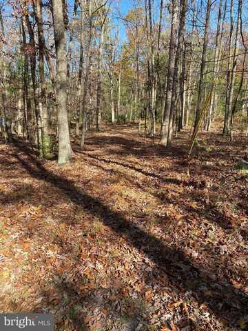 CUB ROAD LOT 3, WARDENSVILLE, WV 26851