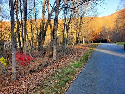 000 Toms Creek Drive, Roan Mountain, TN 37687