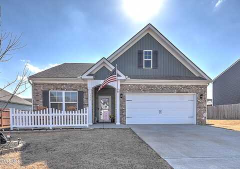 1335 Raccoon Lane, Piney Flats, TN 37686