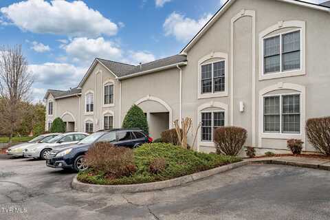 164 Bentley Parc, Johnson City, TN 37615