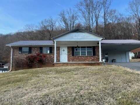 1413 Allison Street, Rogersville, TN 37857