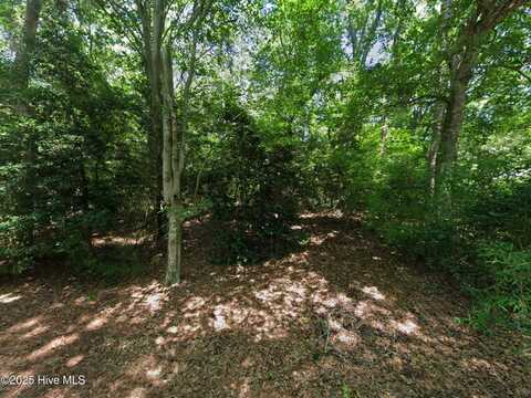 162 Beech Tree Trail, Southern Shores, NC 27949