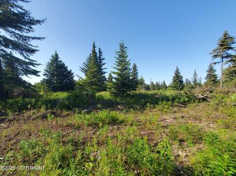 17537 Chefornak Street, Ninilchik, AK 99639