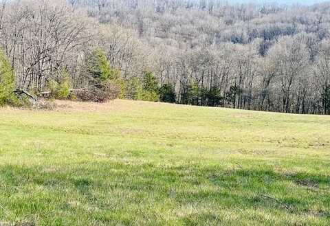 16878 Bethlehem RD, Winslow, AR 72959