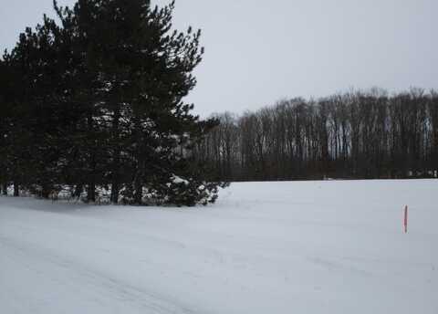 McMichael Road, Alanson, MI 49706