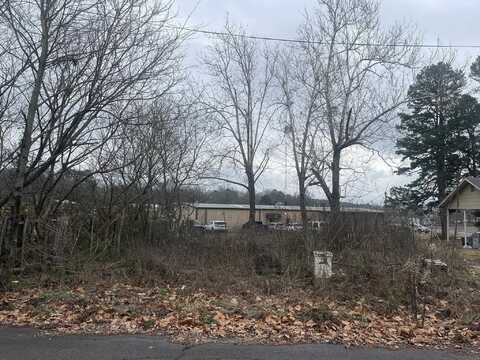906 Elm Avenue, Mena, AR 71953