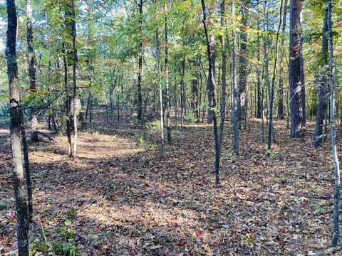 6A Knob Creek Road, Melbourne, AR 72556