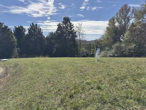 00 Goodfield Terr, Decatur, TN 37322