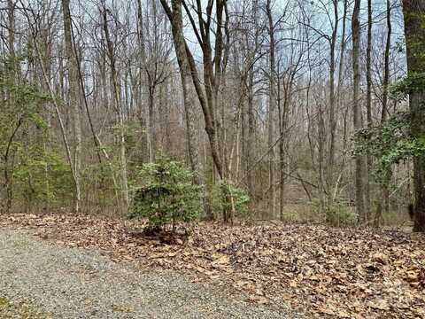 Orchard Mountain Road, Saluda, NC 28773