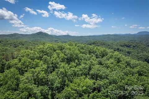 Girl Scout Camp Road, Brevard, NC 28712