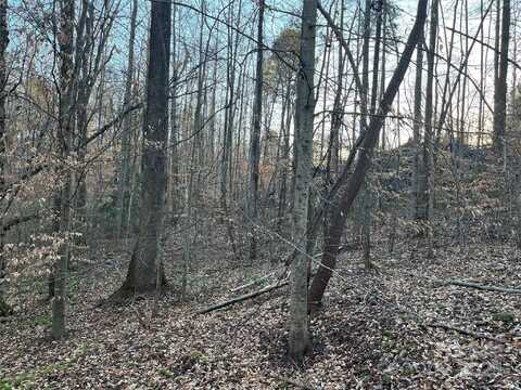 0 Chisholm Trail, Rutherfordton, NC 28139