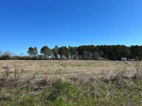 Lot 8, 2.3+-ac Hwy 53, Dothan, AL 36301