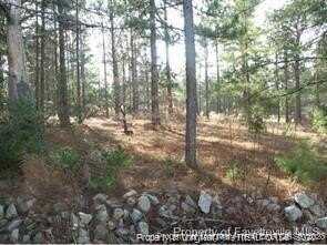 317 Lakeview Drive, Fayetteville, NC 28311