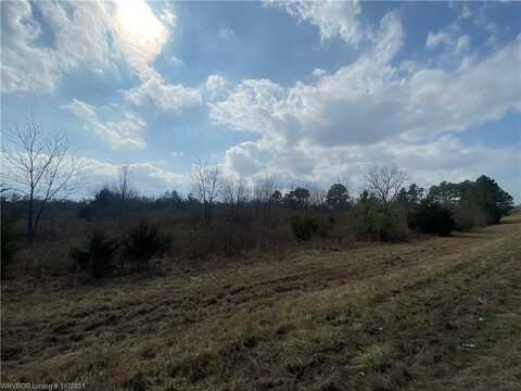 TBD Hwy 22 (tract 3), Branch, AR 72928